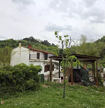 Foto annuncio 64
