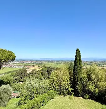 Foto annuncio 65