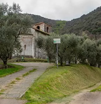 Foto annuncio 82