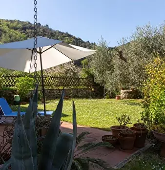 Foto annuncio 5