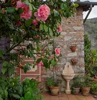 Foto annuncio 6