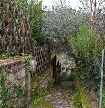 Foto annuncio 16