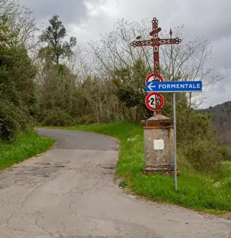 Foto annuncio 84
