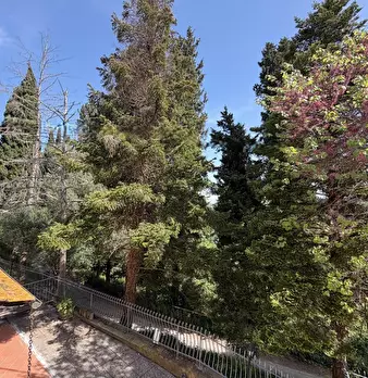 Foto annuncio 31