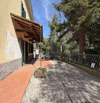Foto annuncio 8