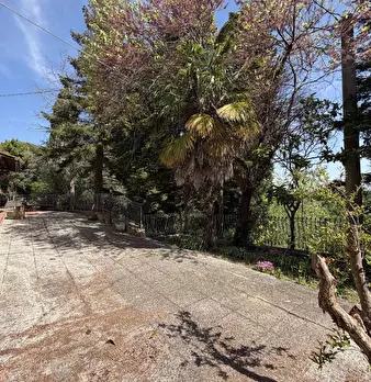 Foto annuncio 41