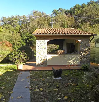 Foto annuncio 12