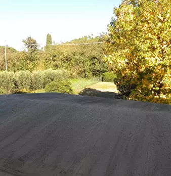 Foto annuncio 44
