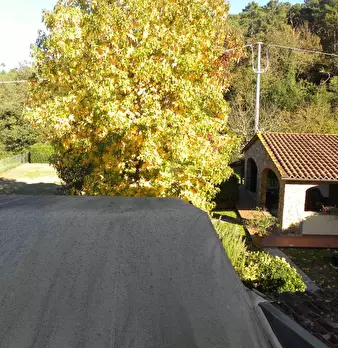 Foto annuncio 24