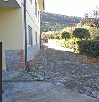 Foto annuncio 10