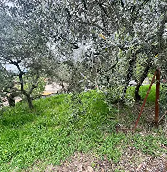 Foto annuncio 31