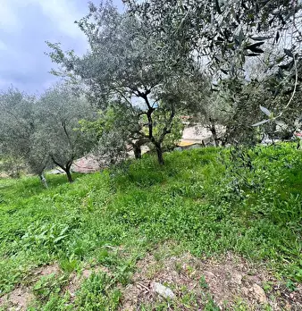 Foto annuncio 29