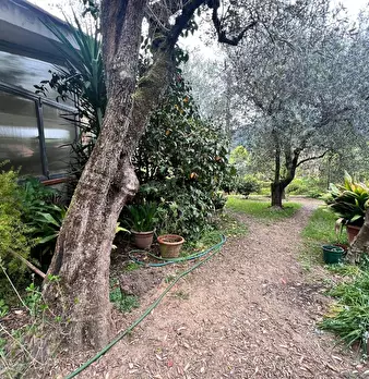 Foto annuncio 26