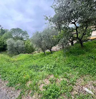 Foto annuncio 35