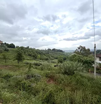 Foto annuncio 30
