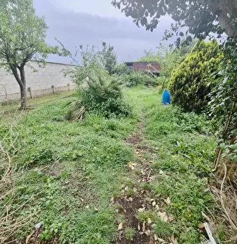 Foto annuncio 8