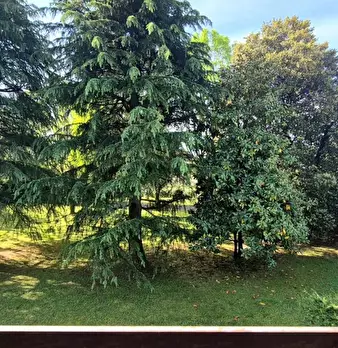 Foto annuncio 27