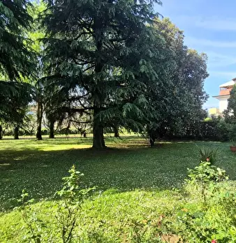 Foto annuncio 6