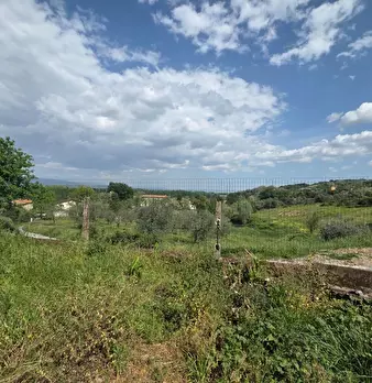 Foto annuncio 37