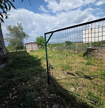 Foto annuncio 17