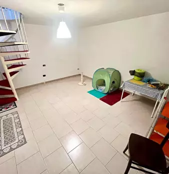 Foto annuncio 36