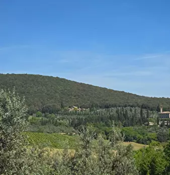 Foto annuncio 11