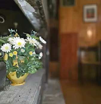 Foto annuncio 39