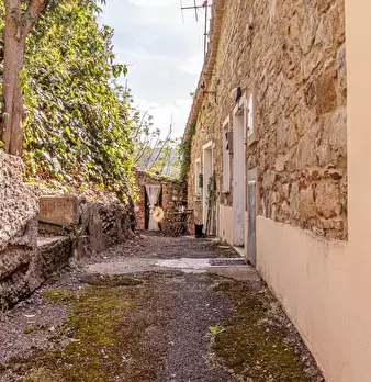 Foto annuncio 4