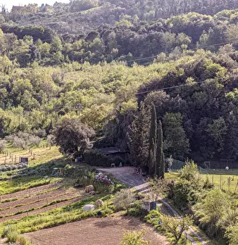 Foto annuncio 37