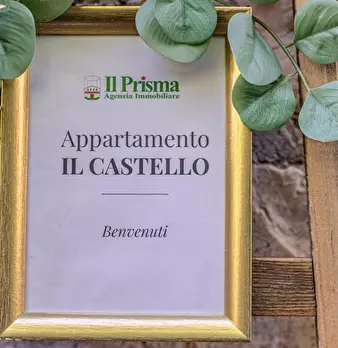 Foto annuncio 6