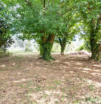 Foto annuncio 38
