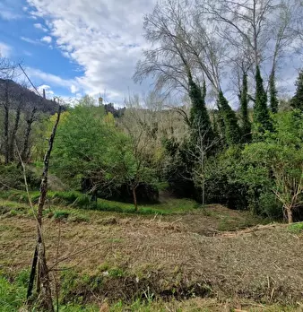 Foto annuncio 7