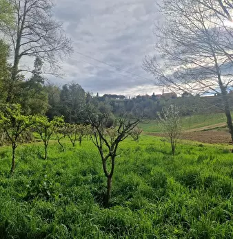 Foto annuncio 8