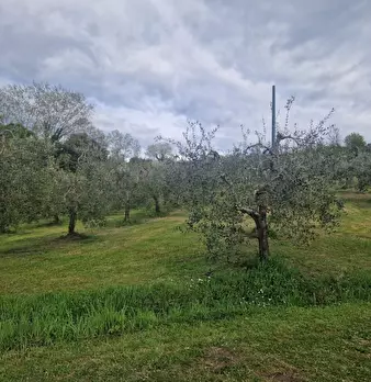 Foto annuncio 3