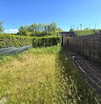 Foto annuncio 3