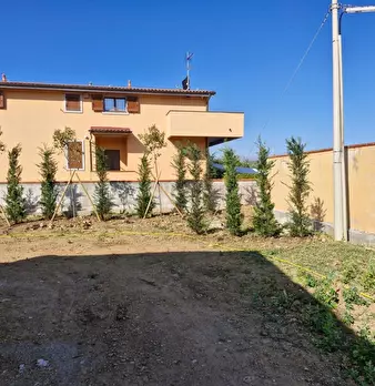 Foto annuncio 9