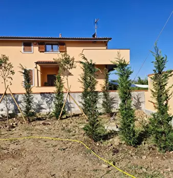 Foto annuncio 8