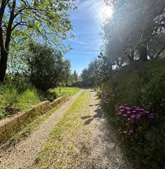 Foto annuncio 10