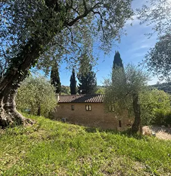 Foto annuncio 17