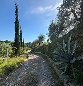 Foto annuncio 9