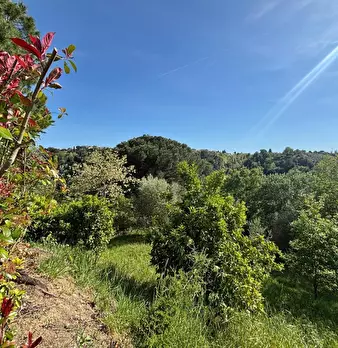 Foto annuncio 11