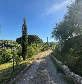 Foto annuncio 14