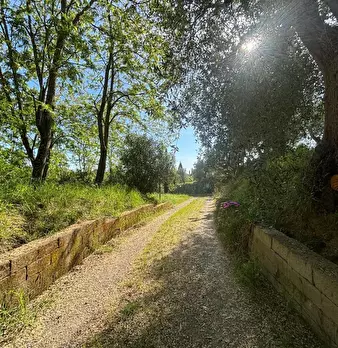 Foto annuncio 8