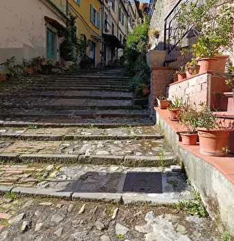 Foto annuncio 12