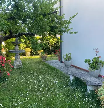 Foto annuncio 20