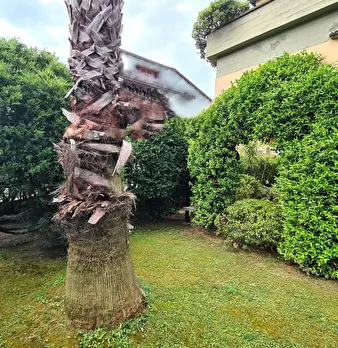 Foto annuncio 25
