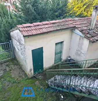 Foto annuncio 11