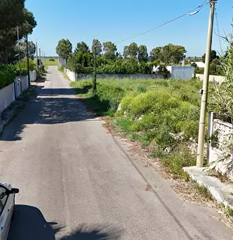 Foto annuncio 26
