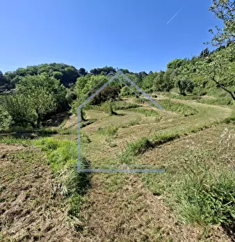 Foto annuncio 39