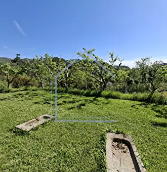 Foto annuncio 22